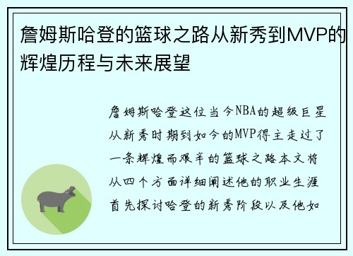 詹姆斯哈登的篮球之路从新秀到MVP的辉煌历程与未来展望
